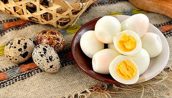 Putpelių kiaušiniai skatina vyrų potenciją | joomla123.lt